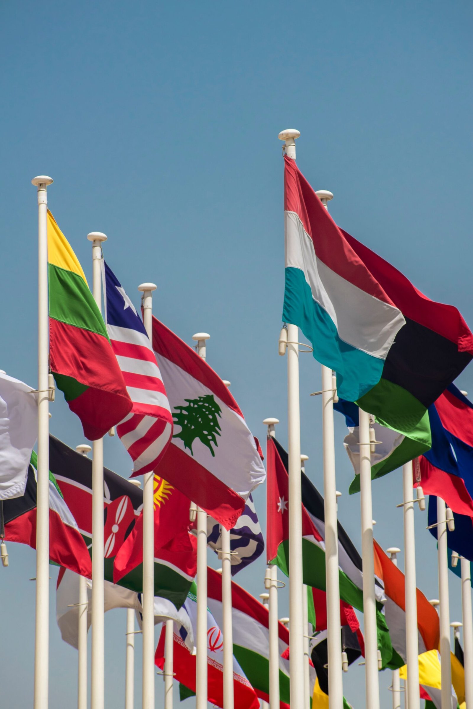 Network A vibrant array of international flags waving against a clear blue sky, symbolizing global unity.